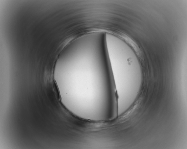 X0000092291193200709140935