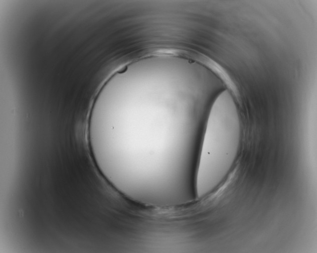 X0000092291194200709140935
