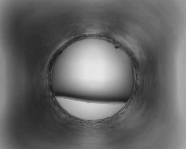 X0000092291208200709140934