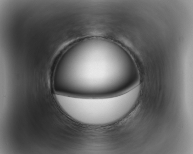 X0000092291214200709140934