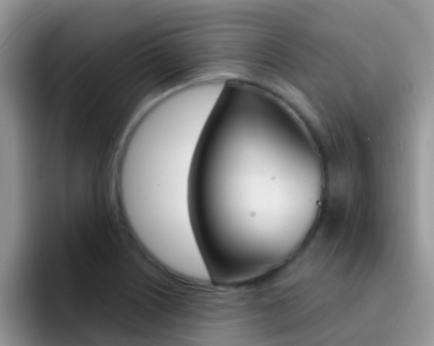 X0000092291226200709140935