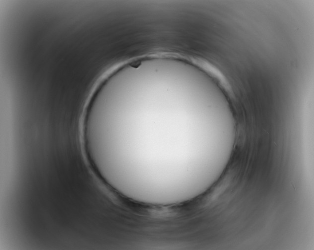 X0000092291231200709140935