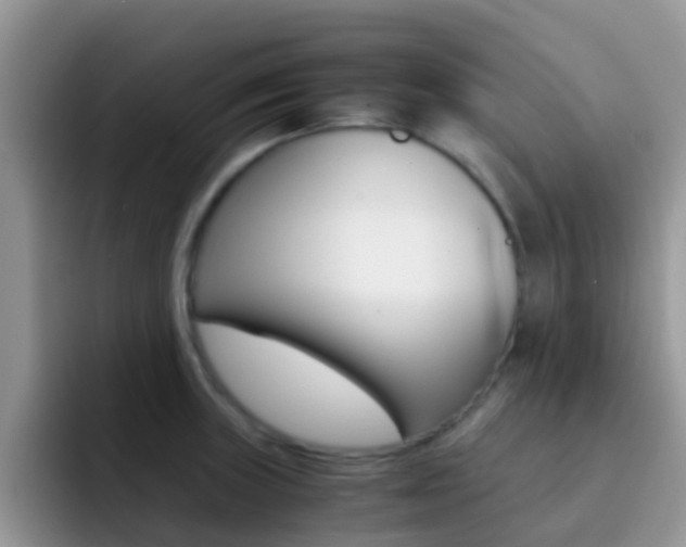 X0000092291235200709140935