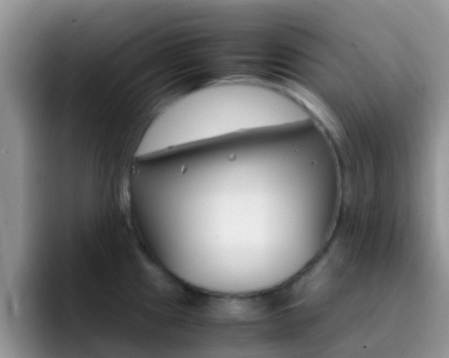 X0000092291241200709140935