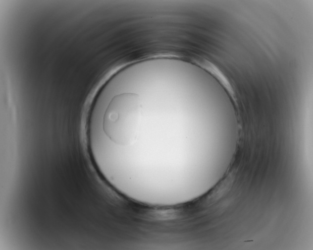 X0000092291243200709140935