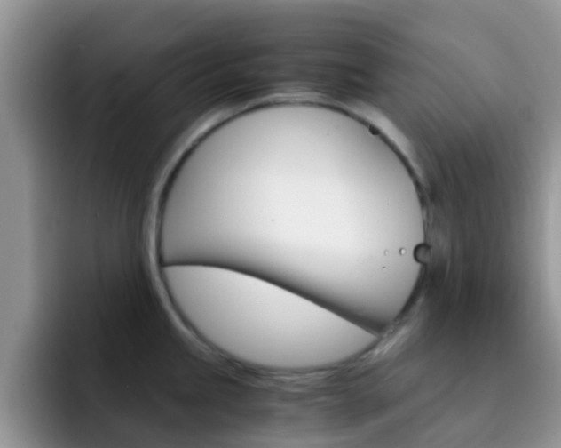 X0000092291245200709140935