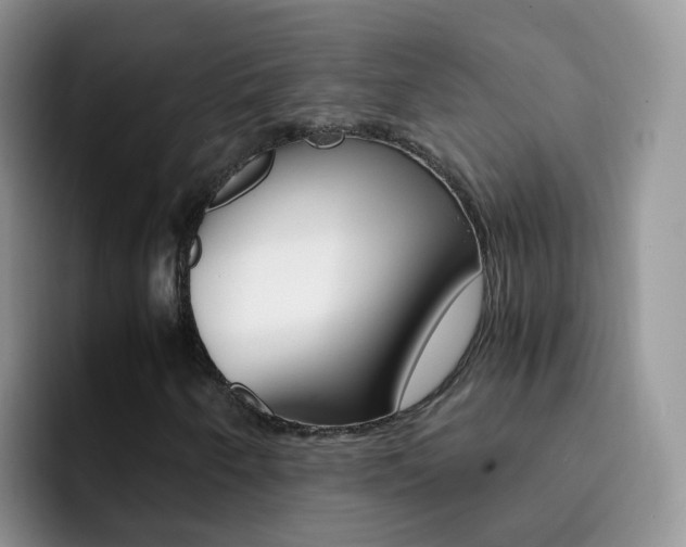 X0000092291250200709140934