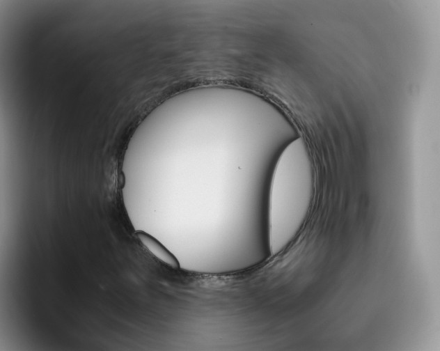 X0000092291251200709140934