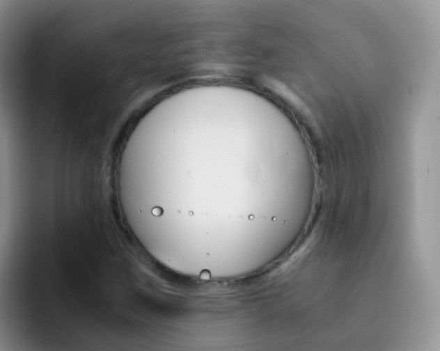 X0000092291259200709140934
