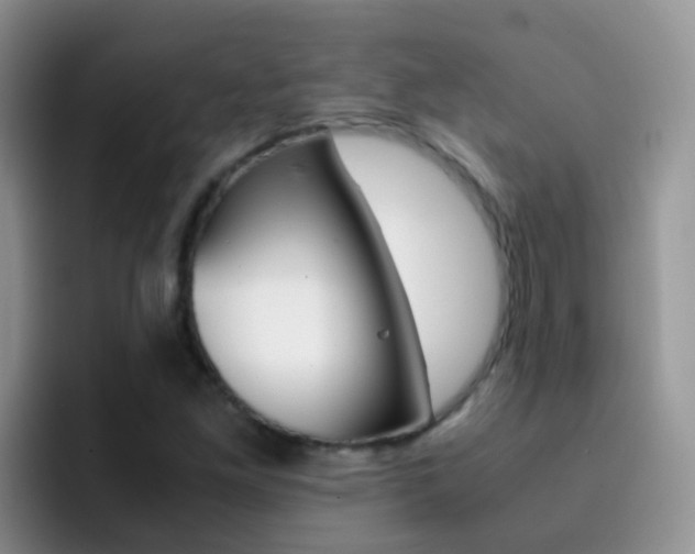 X0000092291261200709140934