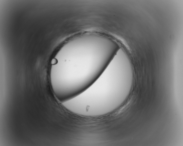 X0000092291263200709140934