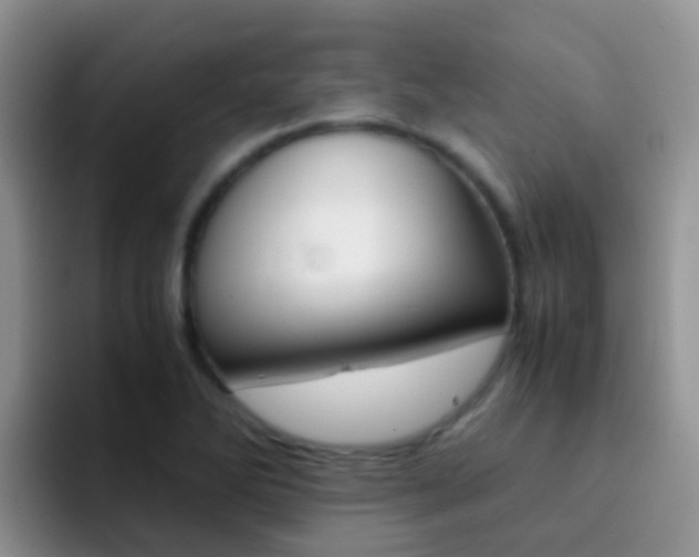X0000092291270200709140934