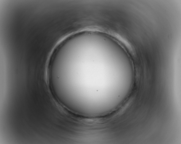 X0000092291272200709140934