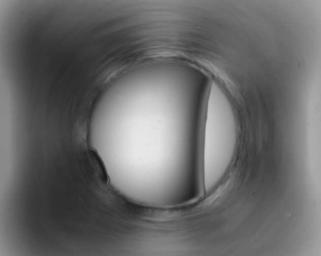 X0000092291273200709140934