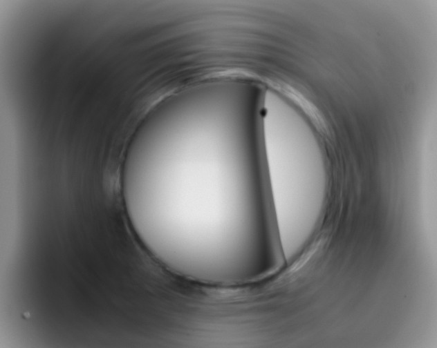 X0000092291281200709140934
