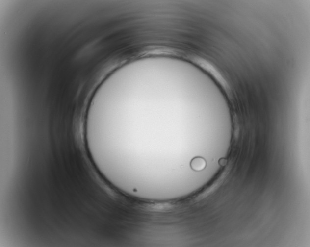 X0000092291282200709140934