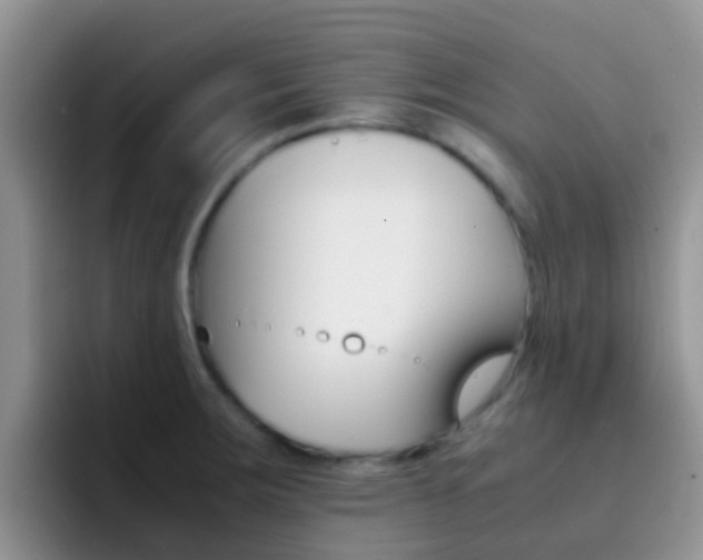 X0000092291283200709140934