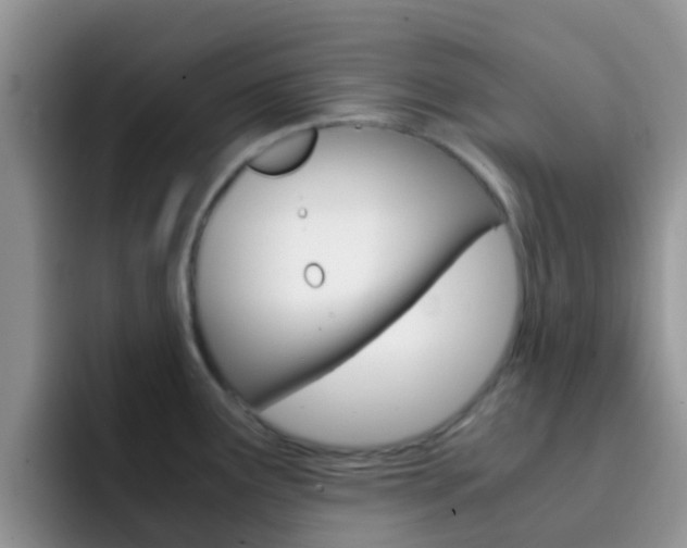X0000092291291200709140934