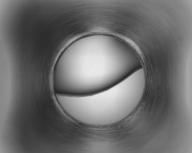 X0000092291295200709140934