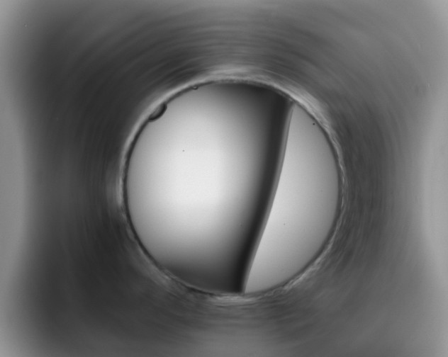 X0000092291296200709140934