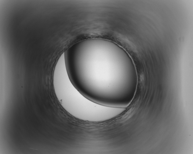 X0000092291300200709140933