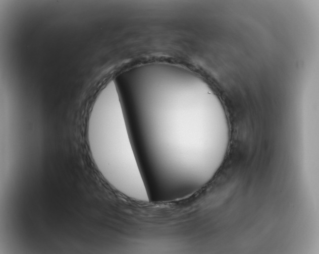 X0000092291303200709140933
