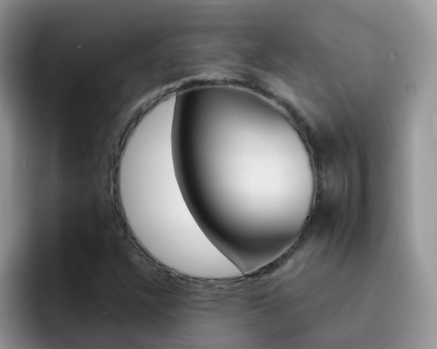 X0000092291304200709140933