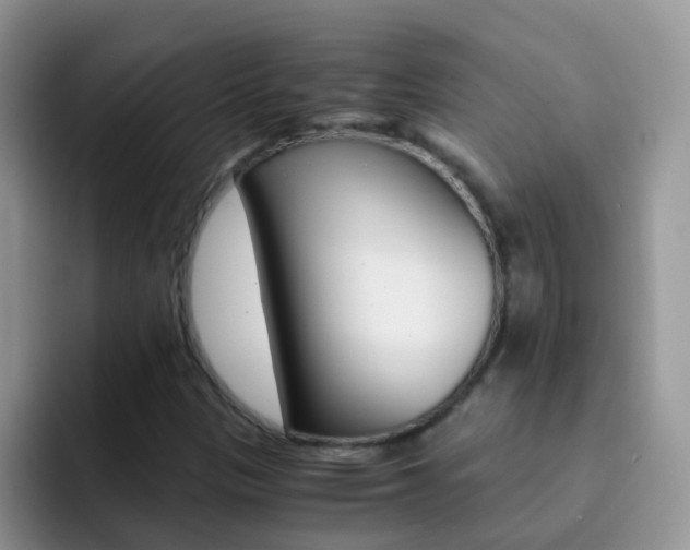 X0000092291305200709140933