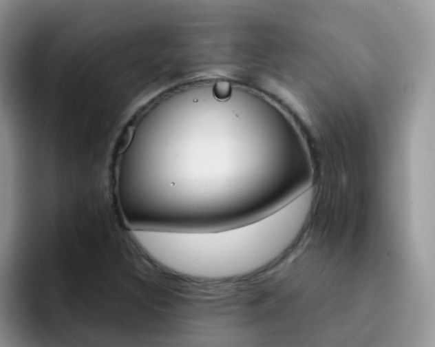 X0000092291308200709140933
