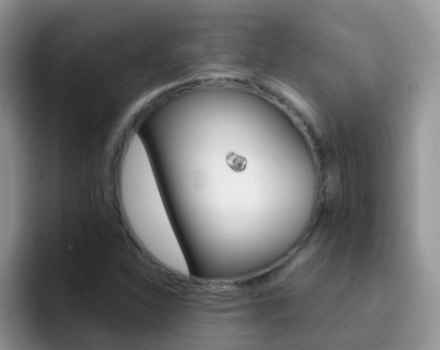 X0000092291310200709140933