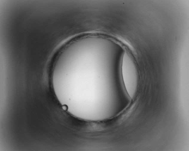 X0000092291311200709140933