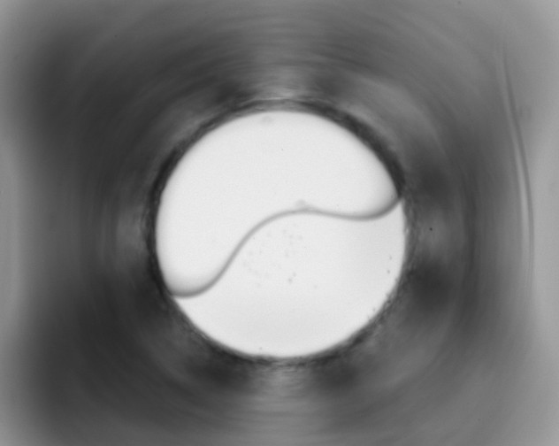 X0000092291314200709140933
