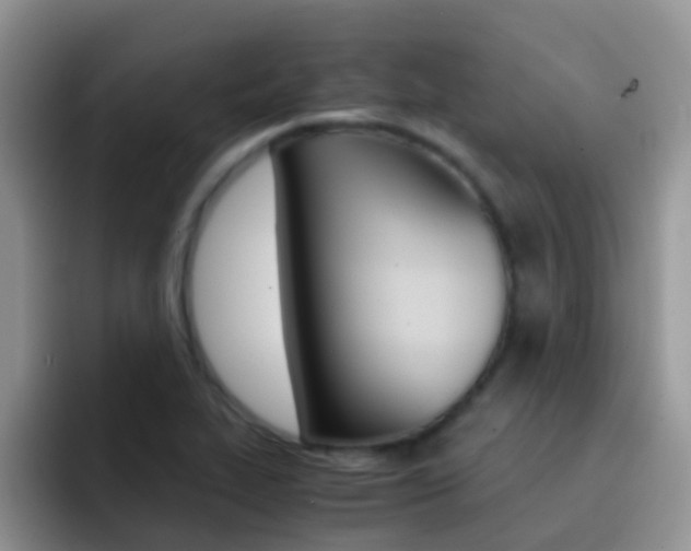 X0000092291319200709140933