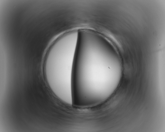 X0000092291320200709140933