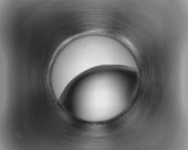 X0000092291324200709140934