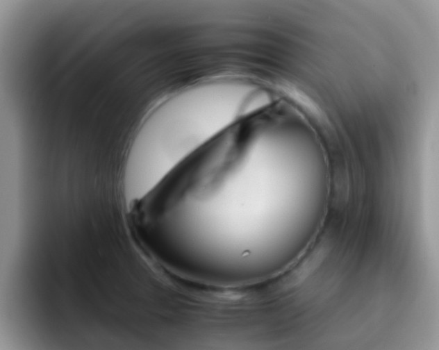 X0000092291329200709140934