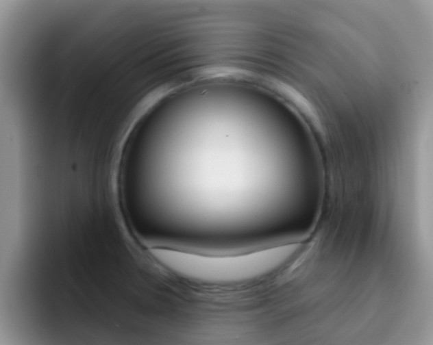 X0000092291330200709140934