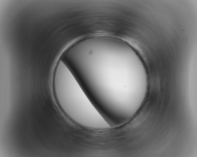 X0000092291333200709140934