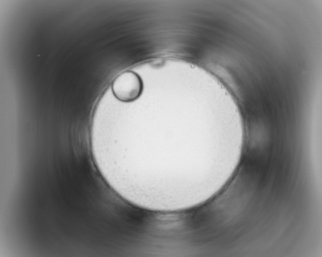 X0000092291338200709140934
