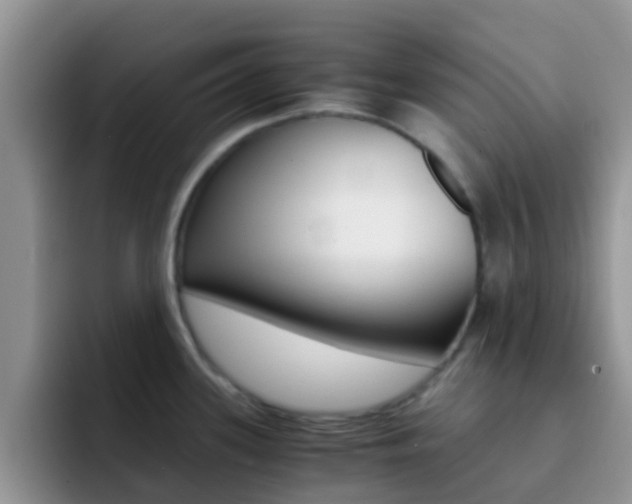 X0000092291339200709140934