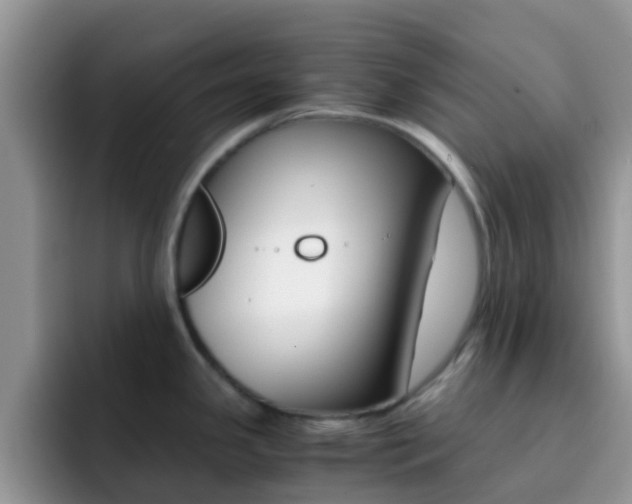 X0000092291341200709140934