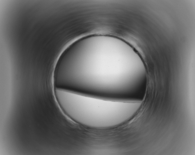 X0000092291343200709140934