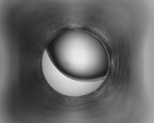 X0000092291348200709140933