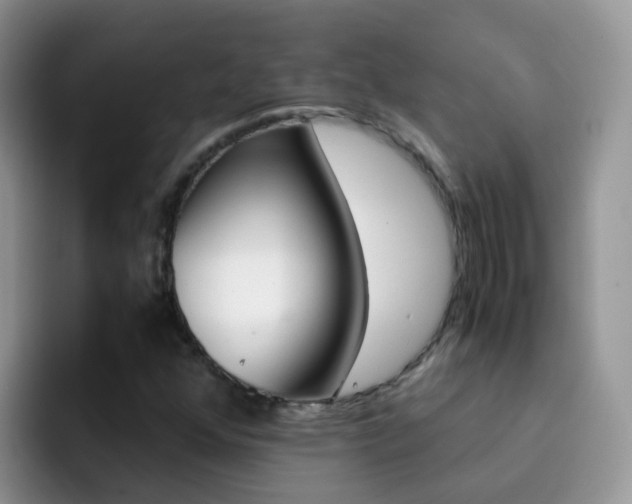 X0000092291352200709140933