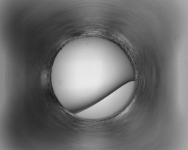 X0000092291353200709140933
