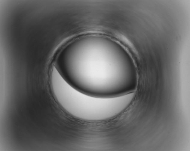 X0000092291360200709140933