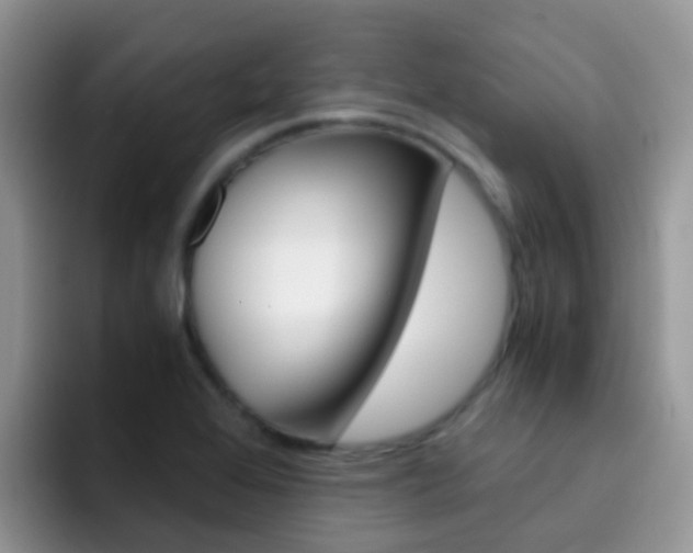 X0000092291368200709140933