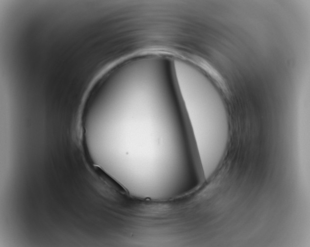 X0000092291372200709140933