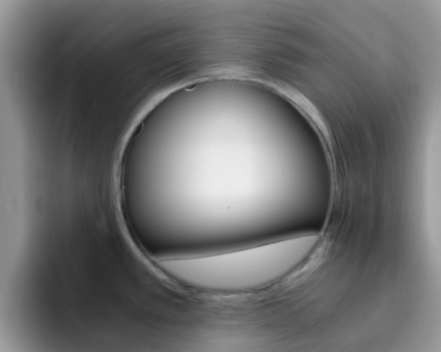 X0000092291389200709140933