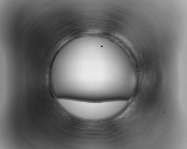 X0000092291409200709140932